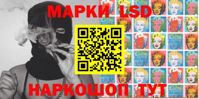индика Гусев