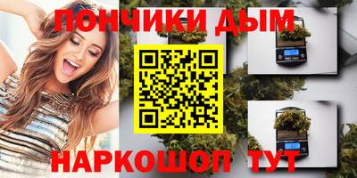 индика Гусев