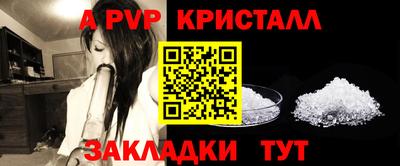 индика Гусев